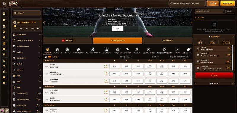 Overview of casino lizaro